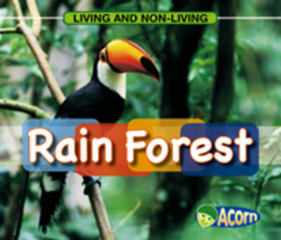 Cover of In a Rain Forest