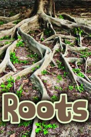 Cover of All About Roots
