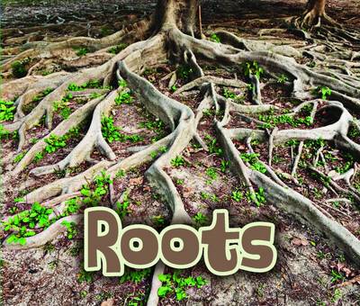 Book cover for All About Roots