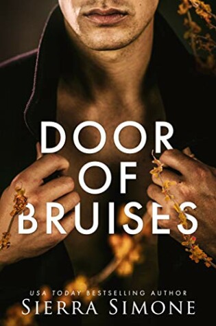 Cover of Door of Bruises