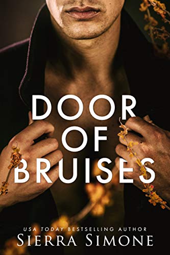 Book cover for Door of Bruises