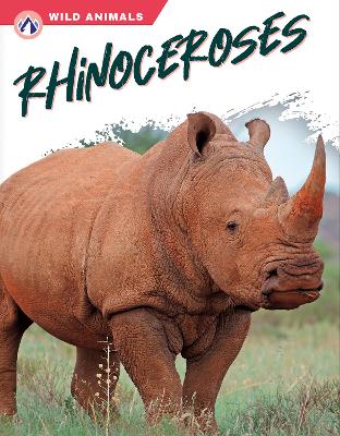 Book cover for Rhinoceroses