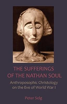 Book cover for The Sufferings of the Nathan Soul