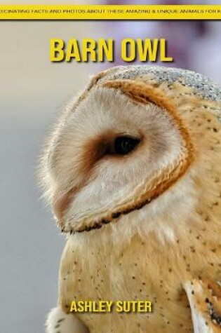 Cover of Barn Owl