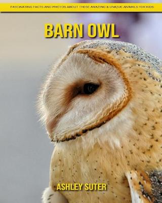 Book cover for Barn Owl