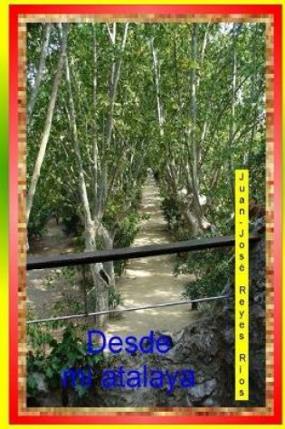 Cover of Desde mi atalaya