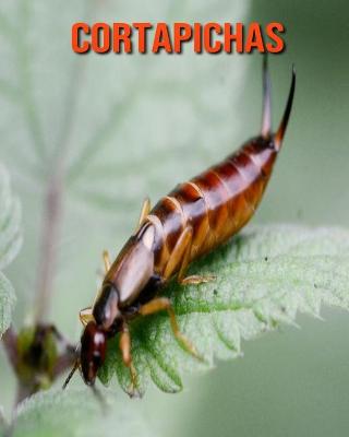 Book cover for Cortapichas