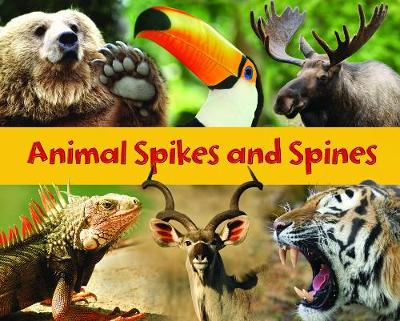Book cover for Animal Spikes and Spines
