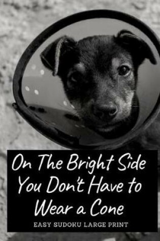 Cover of On The Bright Side You Don't Have To Wear A Cone