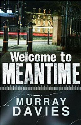 Book cover for Welcome to Meantime