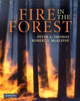 Book cover for Fire in the Forest