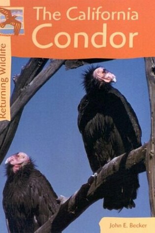 Cover of The California Condor