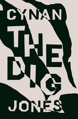 Book cover for The Dig