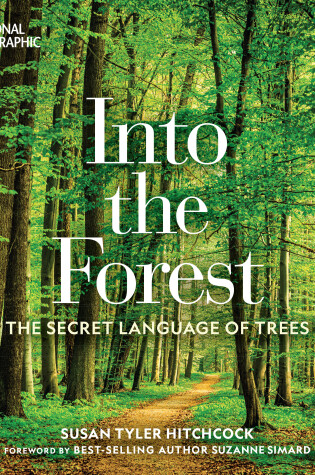 Cover of Into the Forest