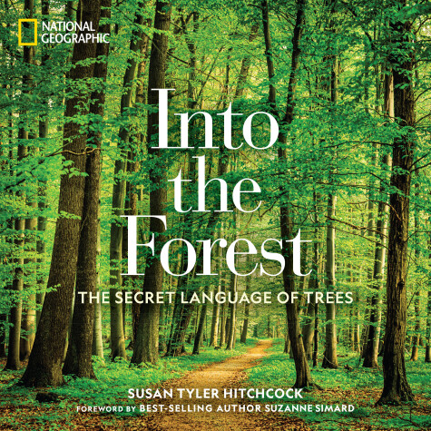 Book cover for Into the Forest