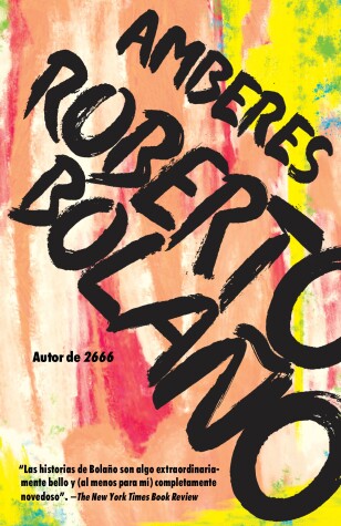 Book cover for Amberes / Antwerp