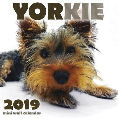 Book cover for Yorkie 2019 Mini Wall Calendar