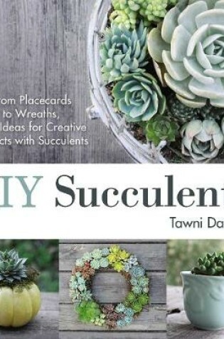 Cover of DIY Succulents