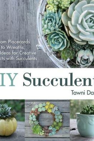 Cover of DIY Succulents