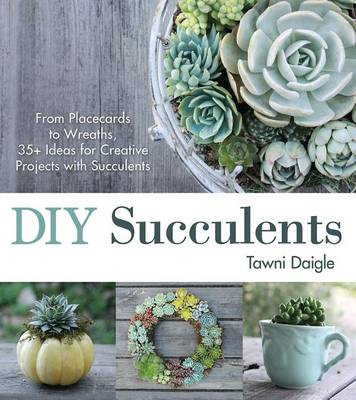 Book cover for DIY Succulents