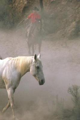 Book cover for Journal Cowboy Herding Equine Horse