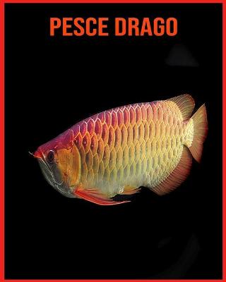 Book cover for Pesce Drago