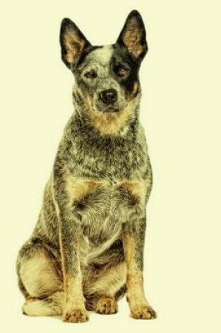 Cover of Australian Cattle Dog