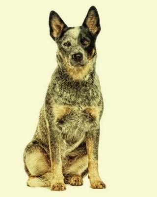 Book cover for Australian Cattle Dog