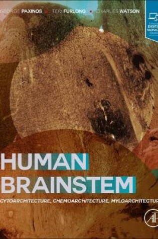 Cover of Human Brainstem
