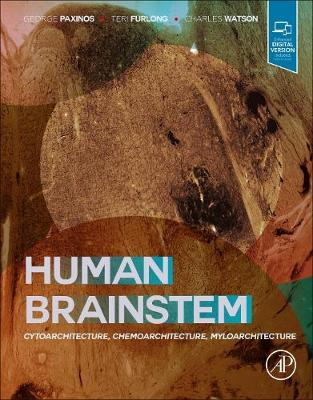 Book cover for Human Brainstem