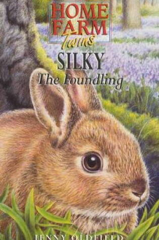 Cover of Silky the Foundling