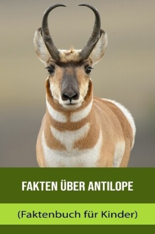 Cover of Fakten über Antilope (Faktenbuch für Kinder)