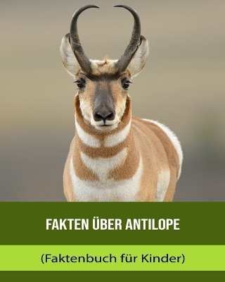 Book cover for Fakten über Antilope (Faktenbuch für Kinder)