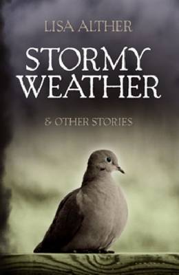 Book cover for Stormy Weather & Other Stories