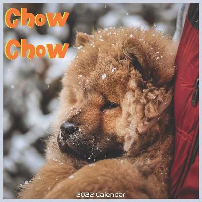 Book cover for Chow Chow 2022 Calendar