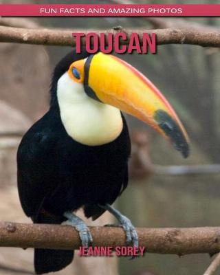 Book cover for Toucan