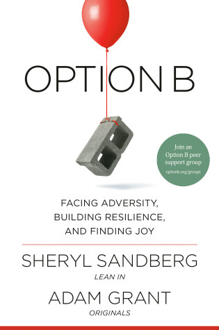 Cover of Option B