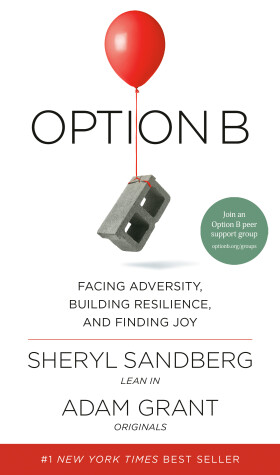 Book cover for Option B
