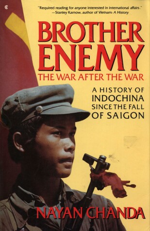 Book cover for Brother Enemy