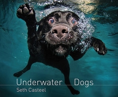 Book cover for Underwater Dogs