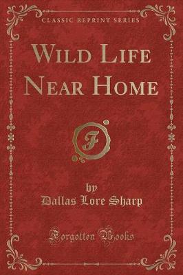 Book cover for Wild Life Near Home (Classic Reprint)