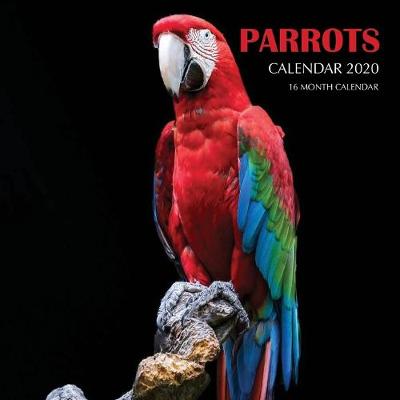 Book cover for Parrots Calendar 2020