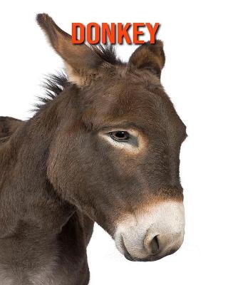 Book cover for Donkey