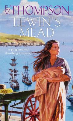 Book cover for Lewin's Mead