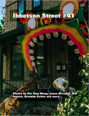 Book cover for Ibbetson Street #41