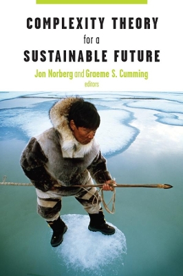 Cover of Complexity Theory for a Sustainable Future