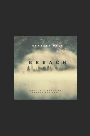 Cover of Breach