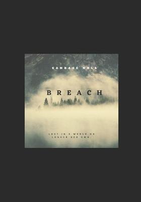 Book cover for Breach