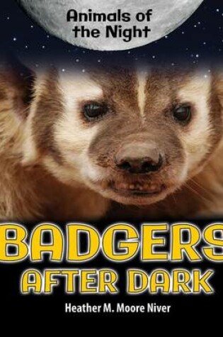 Cover of Badgers After Dark