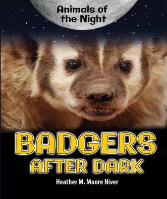 Book cover for Badgers After Dark